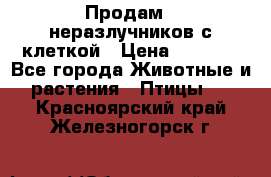 Продам 2 неразлучников с клеткой › Цена ­ 2 500 - Все города Животные и растения » Птицы   . Красноярский край,Железногорск г.